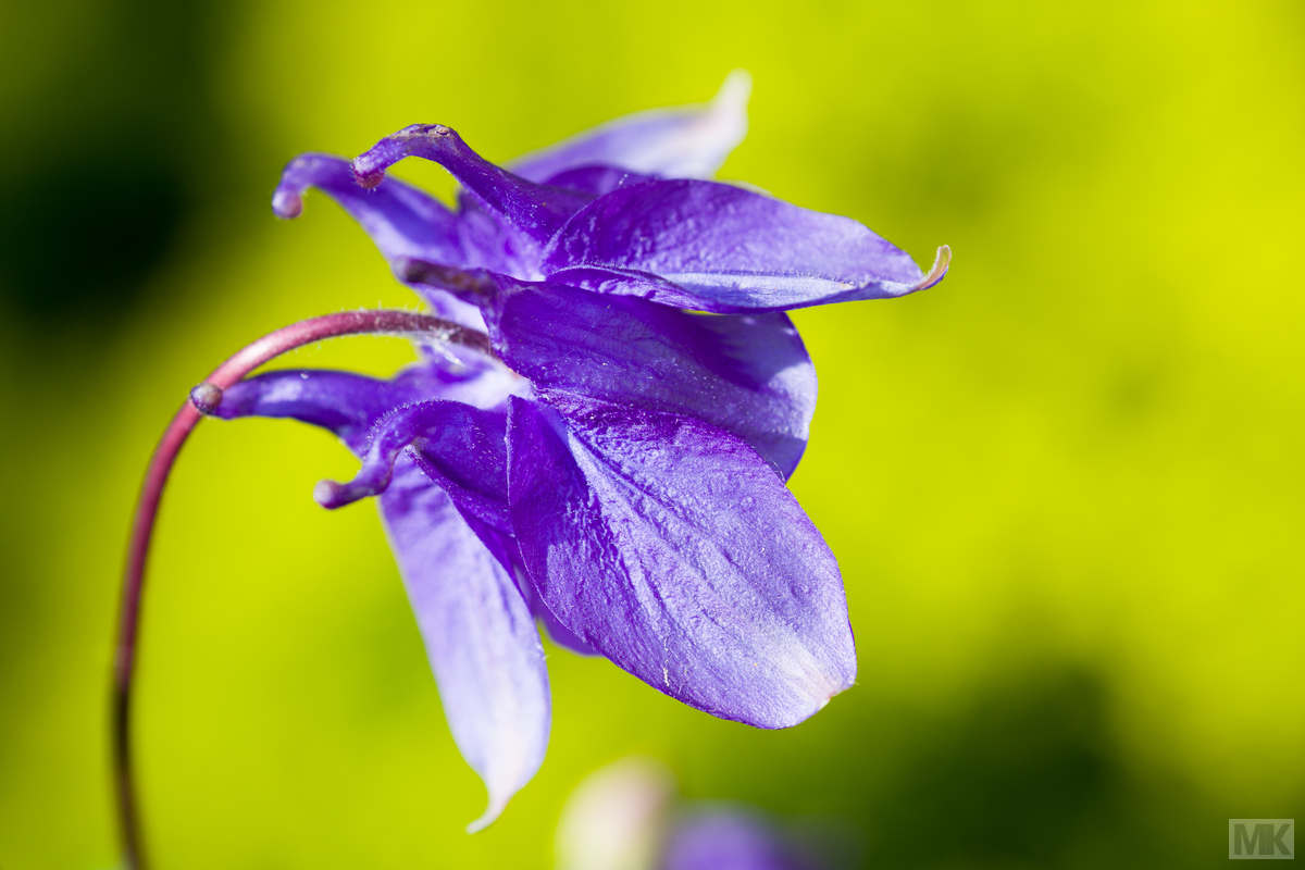 Natur